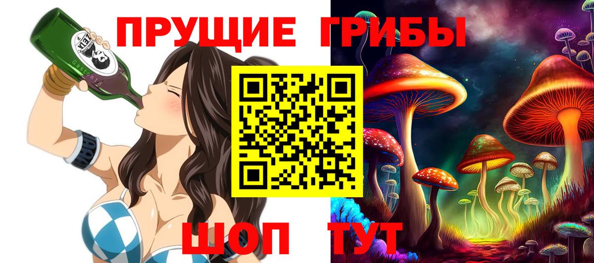 Галлюциногенные грибы Psilocybine cubensis  купить   Галлюциногенные грибы Cubensis  Артёмовский  Вход с VPN 
